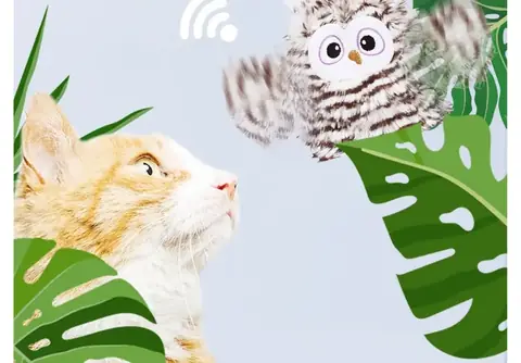 Gato laranja olhando a Corujinha Interativa bater as asas